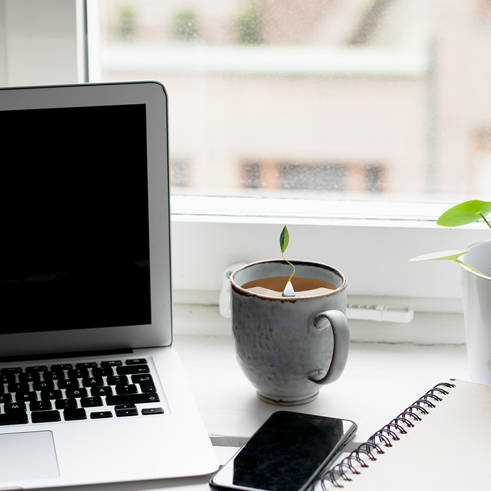 Chamomile Citron Herbal Tea Event Box Tea Forté Australia