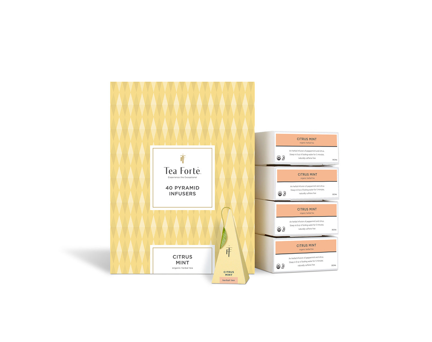 Event Box Citrus Mint (40)