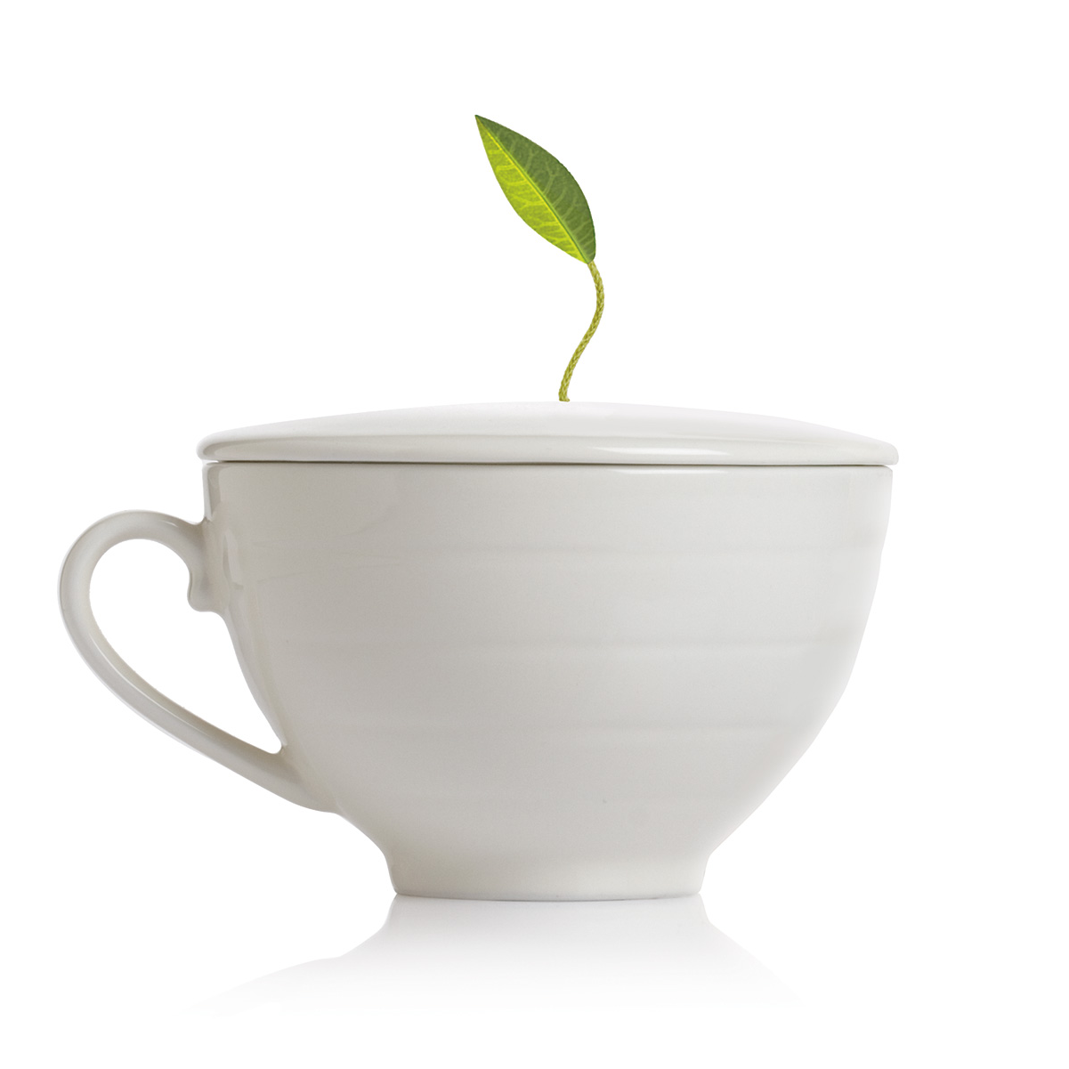 Cafe Cup Set of Six