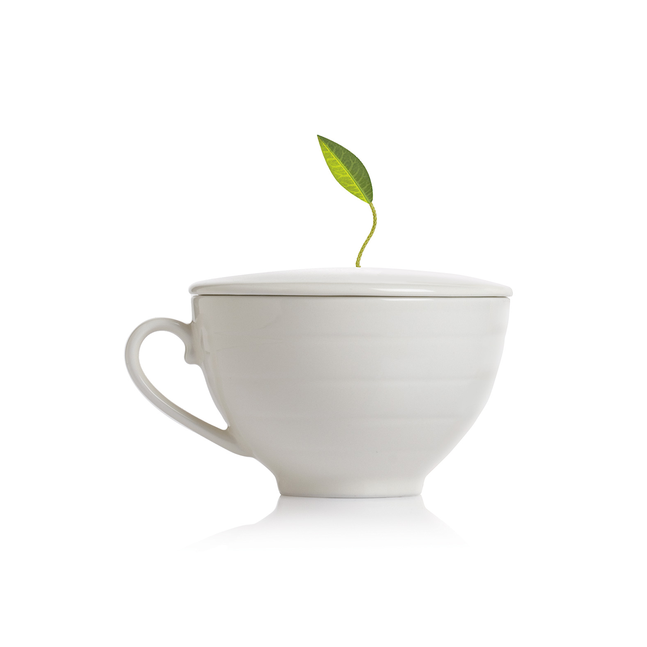 Cafe Cup Bone White