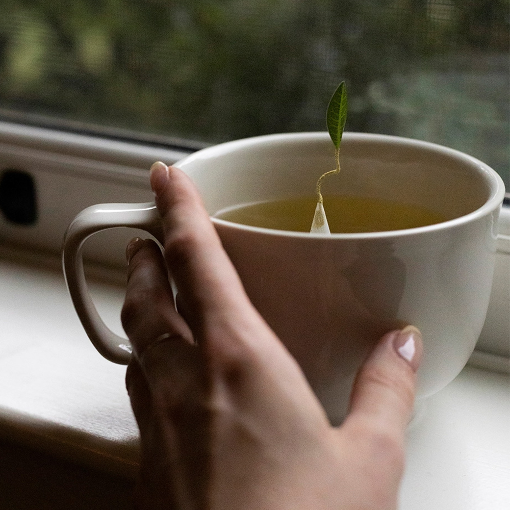 Darjeeling Green Tea in Tea Infusers, Petit Tea