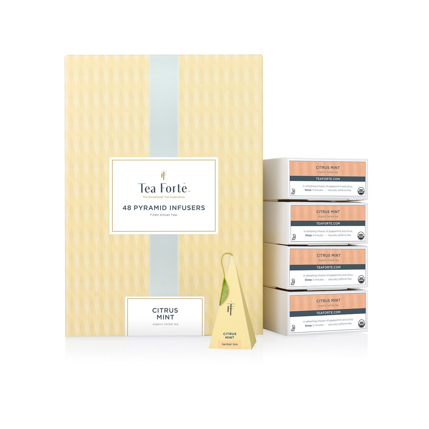 Event Box Citrus Mint