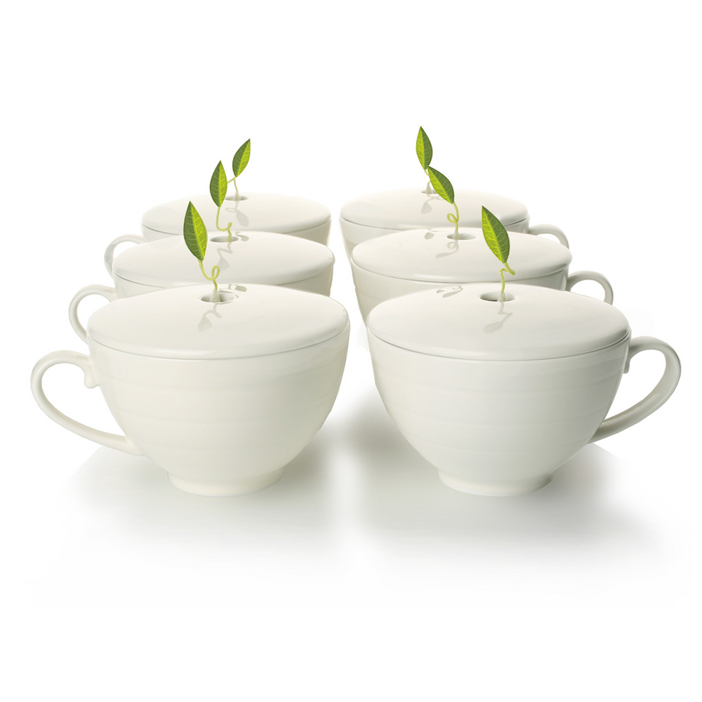 
                  
                    Cafe Cup Set of Six
                  
                